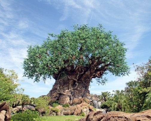 Le parc d'attraction d'Animal Kingdom de Disney à Orlando en Floride vous emmène au zoo !