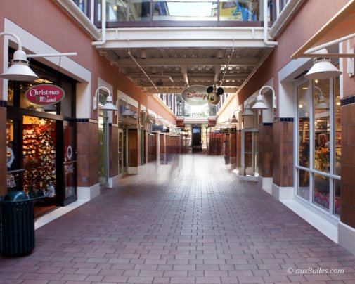 The covered outdoor shopping gallery with shops on each side