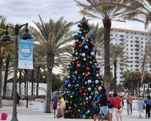 The majestic Christmas tree stands at the intersection of Las Olas and Beach Boulevard in Fort Lauderdale