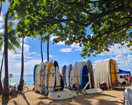 Un alignement coloré de planches de surf en attente de la prochaine vague