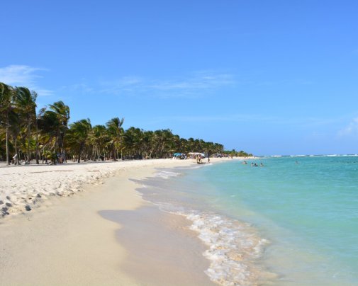Plage de sable blanc bordée de palmiers et eaux turquoise à Cayo Sombrero, dans le parc national Morrocoy au Venezuela