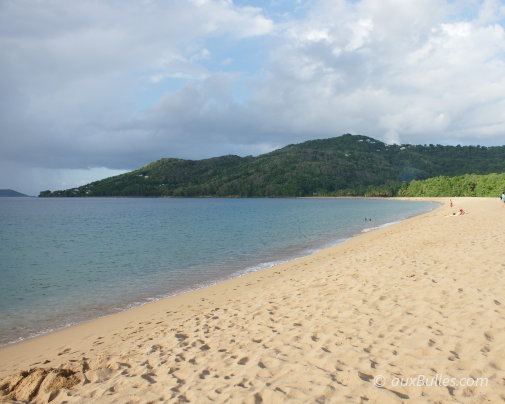 La plage de Grande Anse à Deshaies, l'une des plus belles plages de Guadeloupe, réputée pour son sable doré, ses cocotiers et ses couchers de soleil spectaculaires