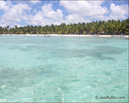 Les eaux turquoise de l'île de Saona avec en fond les plages de sable blanc bordées de cocotiers Les eaux turquoise de l'île de Saona avec en fond les plages de sable blanc bordées de cocotiers