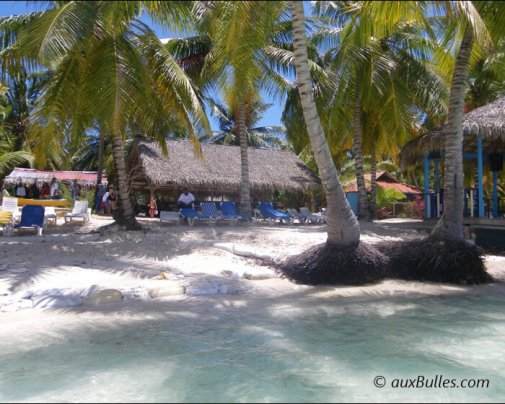 Cocotiers et plages de sable blanc vous attendent sur l'île de Saona