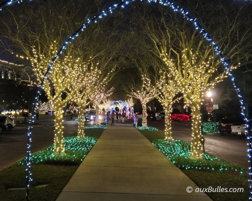 Plant Street in Winter Garden is adorned with countless garlands and illuminated decorations