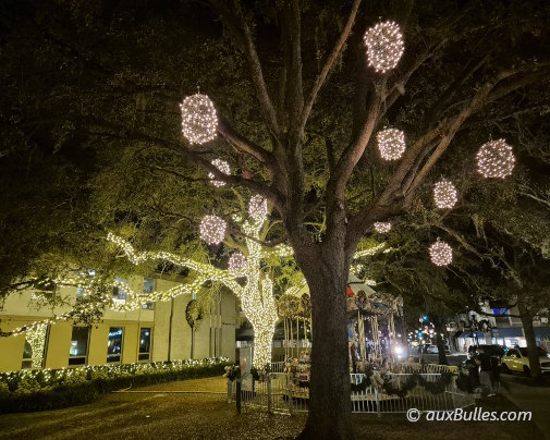In Winter Park during the holiday season, Park Avenue is decorated with glowing garlands, wreaths and thousands of twinkling lights
