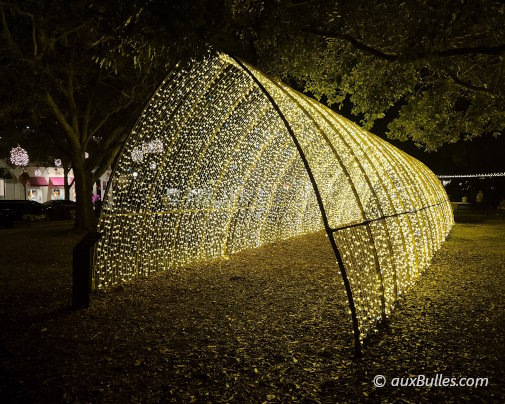 In Winter Park during the holiday season, Central Park is adorned with numerous lights, including a tunnel that glows brilliantly