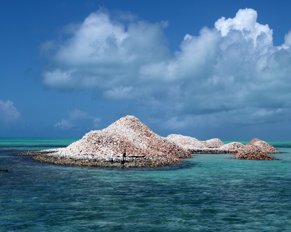 « Conch island » est un petit îlot atypique qui émerge des eaux cristallines de la mer des Caraïbes « Conch island » est un petit îlot atypique qui émerge des eaux cristallines de la mer des Caraïbes