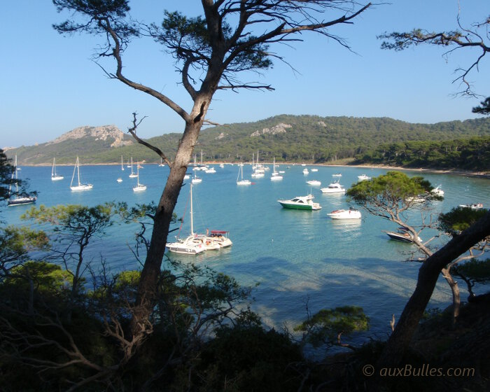 L'ile de Porquerolles offre de belles plages de sable aux couleurs exotiques avec la plage Notre-Dame