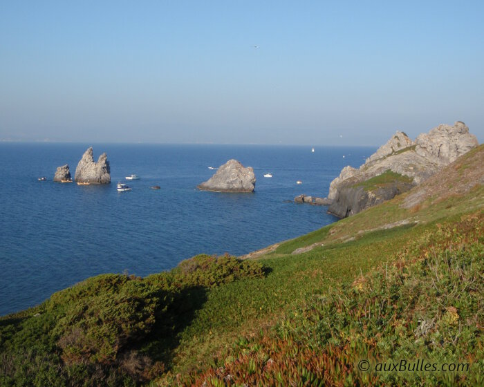 Les rochers des Mèdes ou des Deux Frères, situés à la pointe Nord-Est de l'île de Porquerolles constituent un site idéal pour s'initier à la pratique de la plongée sous marine