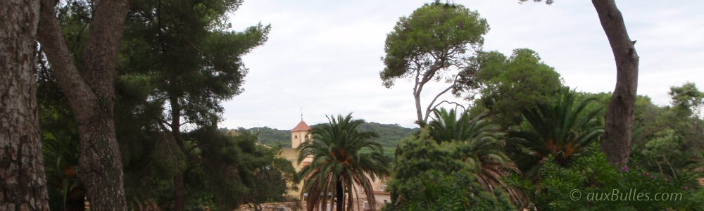 Une vue panoramique sur le village de l'ile de Porquerolles avec son clocher
