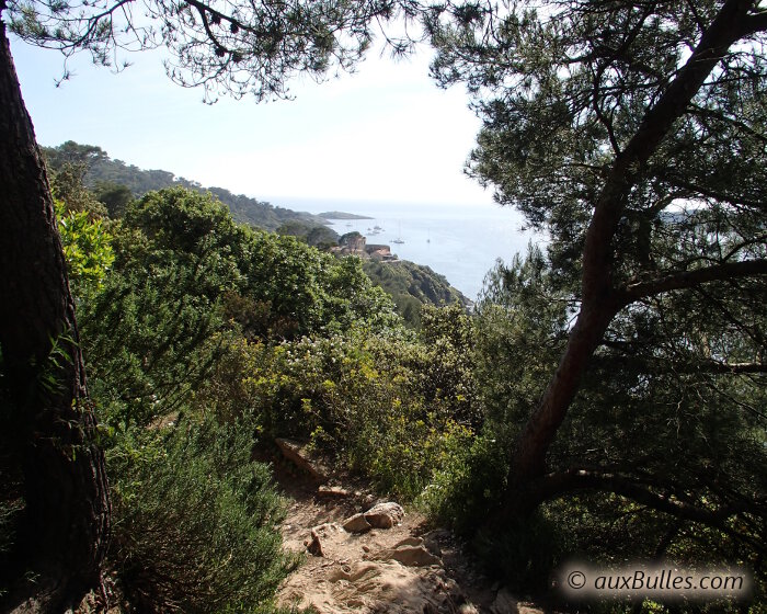 De nombreux chemins de randonnées permettent de parcourir à pied l'ile de Port Cros