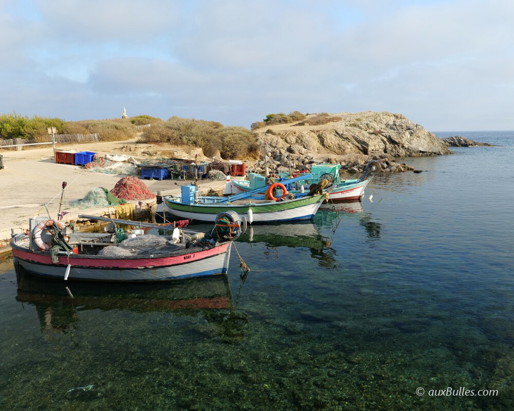 L'île du Petit Gaou (Mer Méditerranée) L'île du Petit Gaou (Mer Méditerranée)
