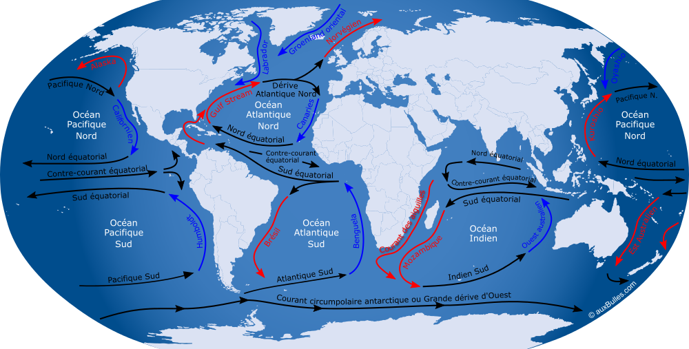 La circulation des courants océaniques