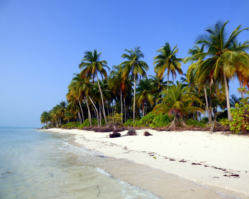 Plage de sable blanc sur l'ile de Thinakara qui compte parmi les iles Laquedives Plage de sable blanc sur l'ile de Thinakara qui compte parmi les iles Laquedives