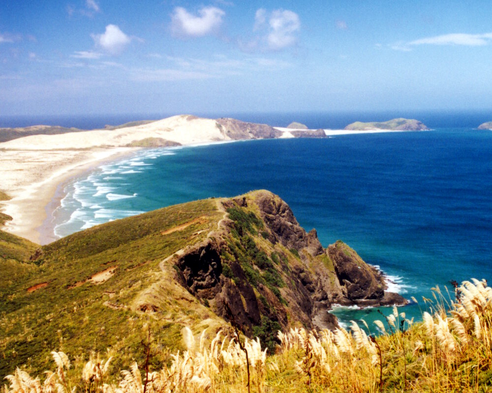 Vue sur le cap Reinga à l'extrême pointe nord de la Nouvelle-Zélande