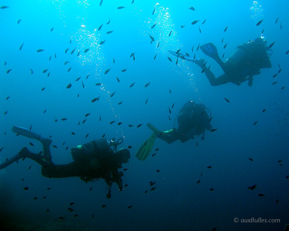 Les voyages plongée sous marine avec la pratique du snorkeling sur des spots paradisiaques !