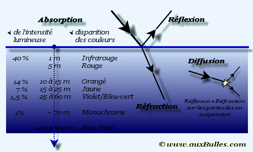 Les phénomènes optiques et les couleurs en plongée sous-marine