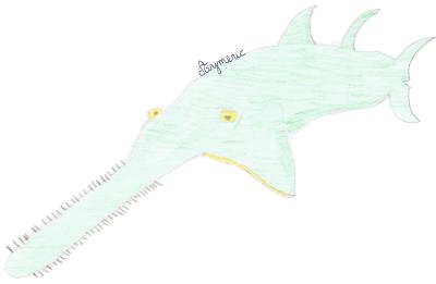 Le poisson scie (7 espèces de poissons-scies) Le poisson scie (7 espèces de poissons-scies)