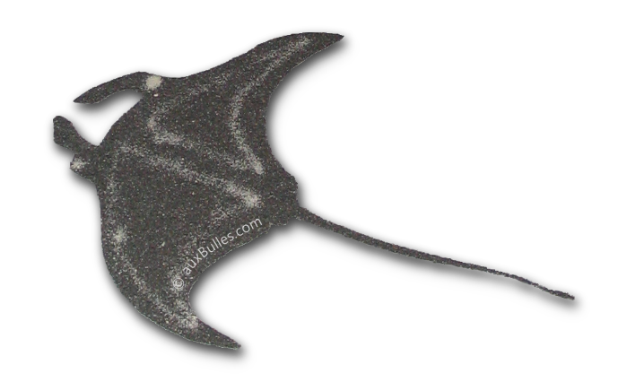 Une raie manta dessinée avec du sable par des Maldiviens Une raie manta dessinée avec du sable par des Maldiviens