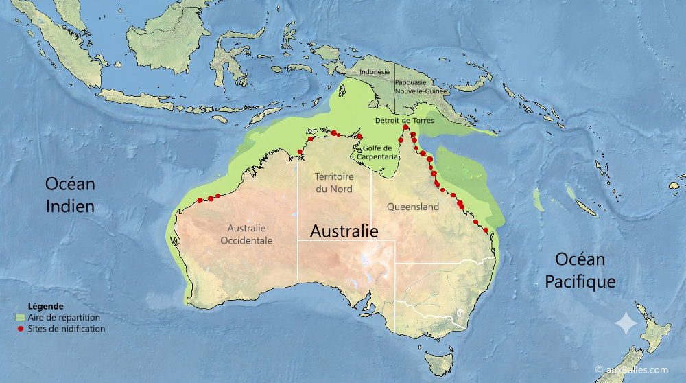 Répartition géographique et principaux sites de nidification de la tortue de mer à dos plat (Natator depressus) Répartition géographique et principaux sites de nidification de la tortue de mer à dos plat (Natator depressus)