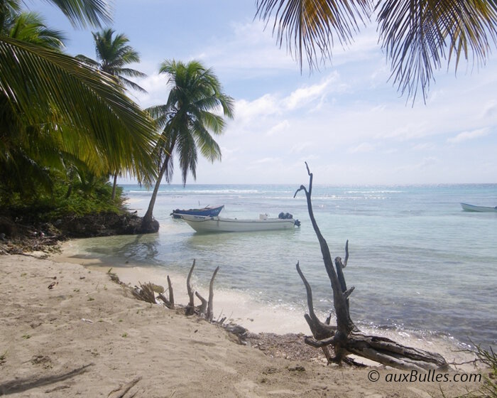 Tous les ingrédients sont réunis pour faire de la République Dominicaine un paradis tropical !