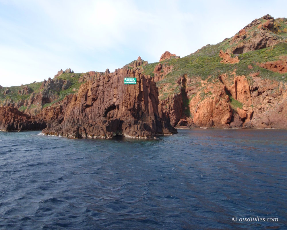 Baignées par des eaux translucides les falaises rouges de la Réserve Naturelle de Scandola offrent au mérou un refuge naturel