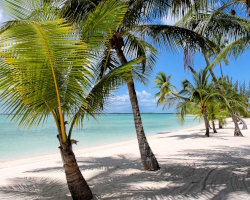 L'île Andros L'île Andros