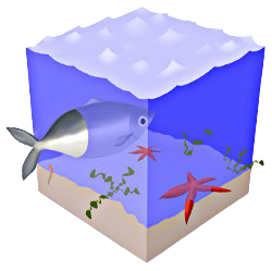 Image représentative de l'espèce marine