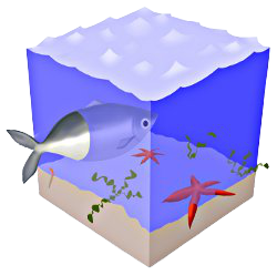 Rechercher une espèce marine Rechercher une espèce marine