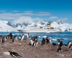 An Antarctic cruise An Antarctic cruise