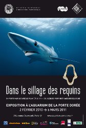 Exposition 'Dans le sillage des requins'