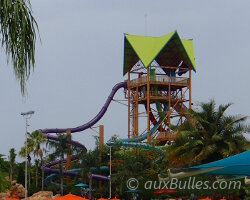 Le parc aquatique Aquatica à Orlando