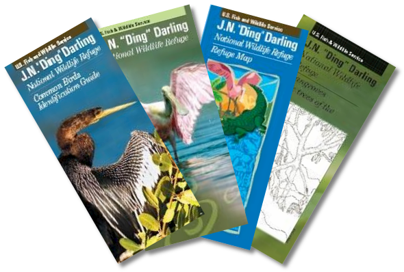 Des brochures sur les principales espèces d'oiseaux ou encore sur les différents types de mangroves