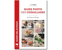 Le guide photo des coquillages