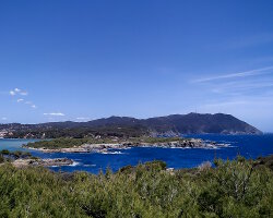 L'île du Grand Gaou L'île du Grand Gaou