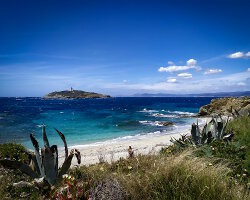 L'île des Embiez L'île des Embiez