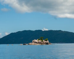 L'île Cocos L'île Cocos