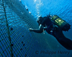 Tous les jours, les plongeurs inspectent les filets des cages et recousent les trous.