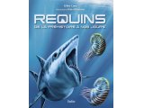 Requins, de la préhistoire à nos jours