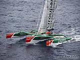 La Route du Rhum 2010 : Un rhum allongé