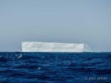 Rencontre avec un iceberg géant !
