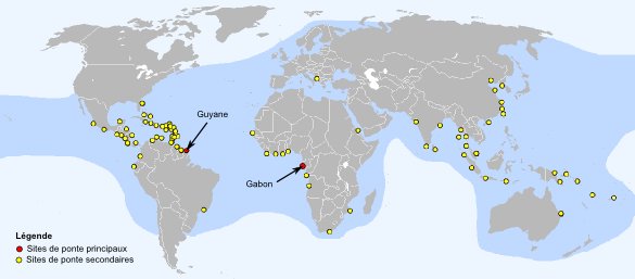 Répartition géograpique et sites de ponte de la tortue luth Répartition géograpique et sites de ponte de la tortue luth