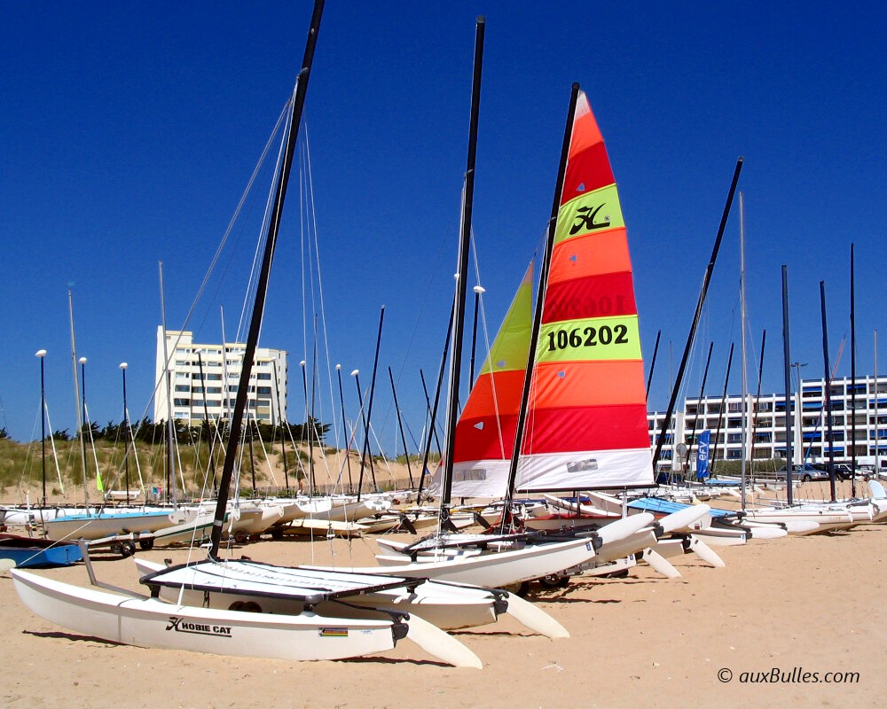 Découvrez la sensation de vitesse sur l'eau avec la pratique du catamaran ! Découvrez la sensation de vitesse sur l'eau avec la pratique du catamaran !