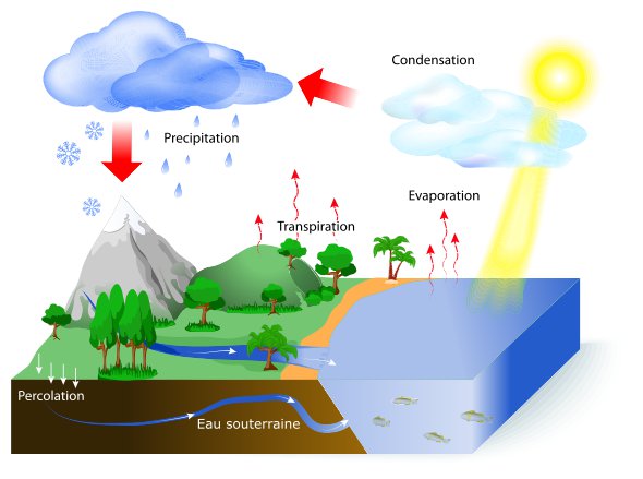 Le cycle de l'eau