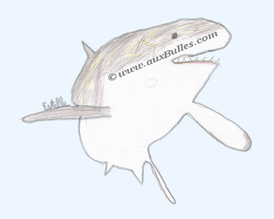 Le grand requin blanc dessiné par Estelle