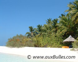 Les Maldives Les Maldives