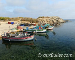 L'île du Petit Gaou