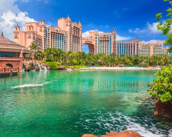Paradise island Paradise island