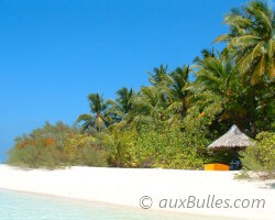 Les îles Maldives Les îles Maldives